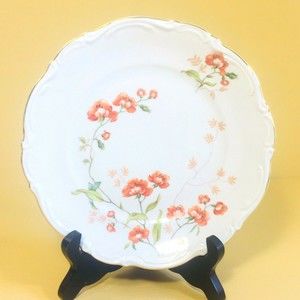 Mitterteich 7.5” White Floral Gold Trimmed Salad/Dessert Plate Bavaria Germany